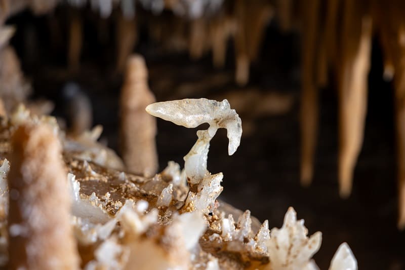 Grotte du Grand Roc - Agence de voyage - Déclic&Décolle