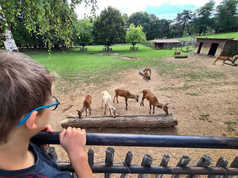 Visite pédagogique Parc du Thot © Nathalie Jouat Bontemps_