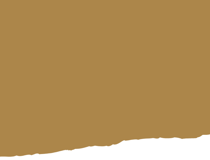 Fond Doré - Lascaux IV ©Semitour