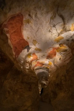 © Dan Courtice - 2_Grotte - Diverticule Axial - DAN_7103_Web